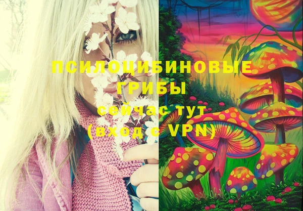 прущий лед Пересвет