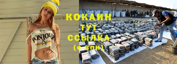 прущий лед Пересвет