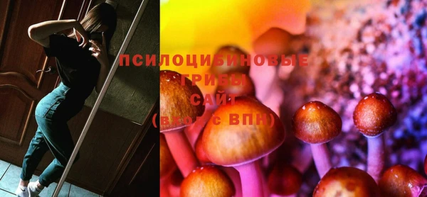 стаф Остров