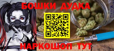 сатива Кингисепп