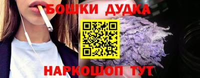 сатива Кингисепп