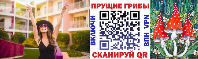 закладка  Киржач  Галлюциногенные грибы Magic Shrooms 