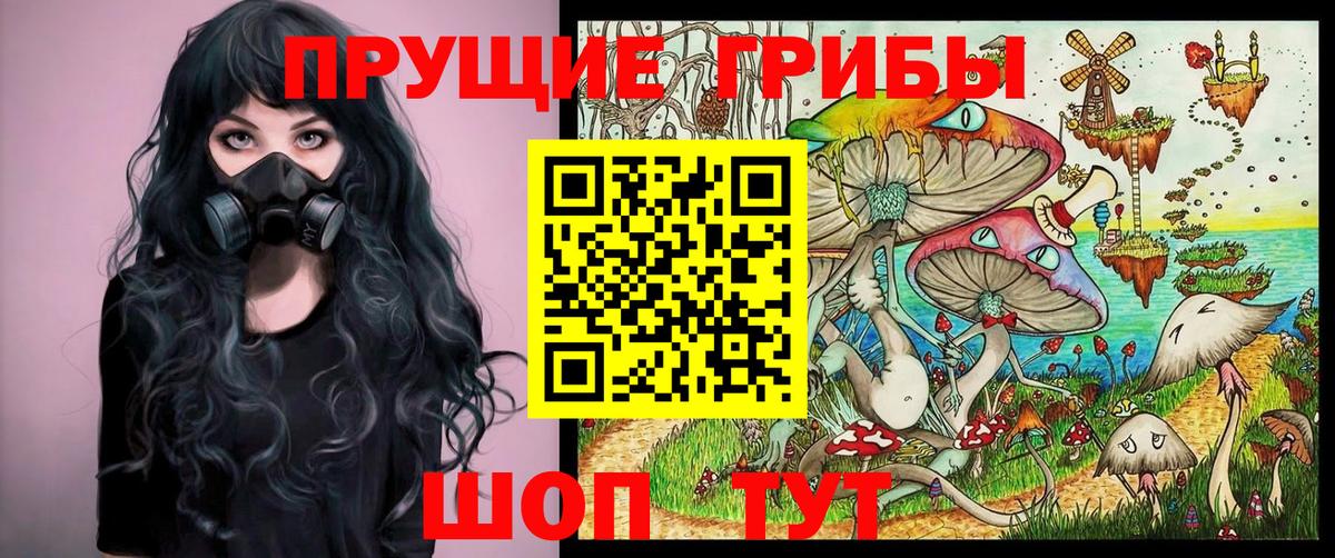 Галлюциногенные грибы Psilocybine cubensis Киржач