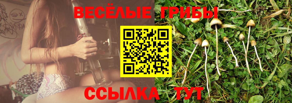 Псилоцибиновые грибы прущие грибы  Вход с VPN  Киржач 